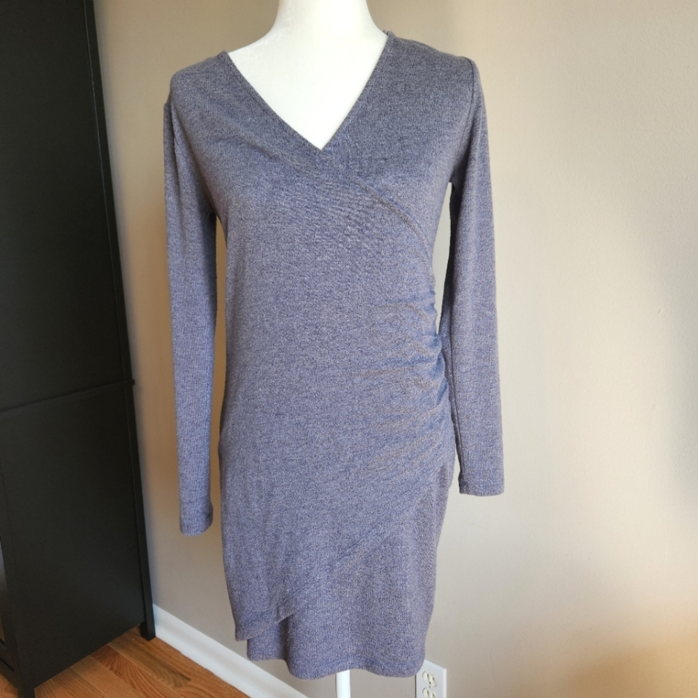 Dynamite Long Sleeve Fitted Ruched Side Dress